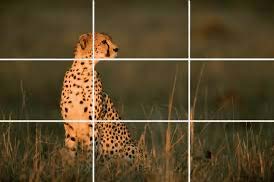 Comic Book Cover Rule Of Thirds